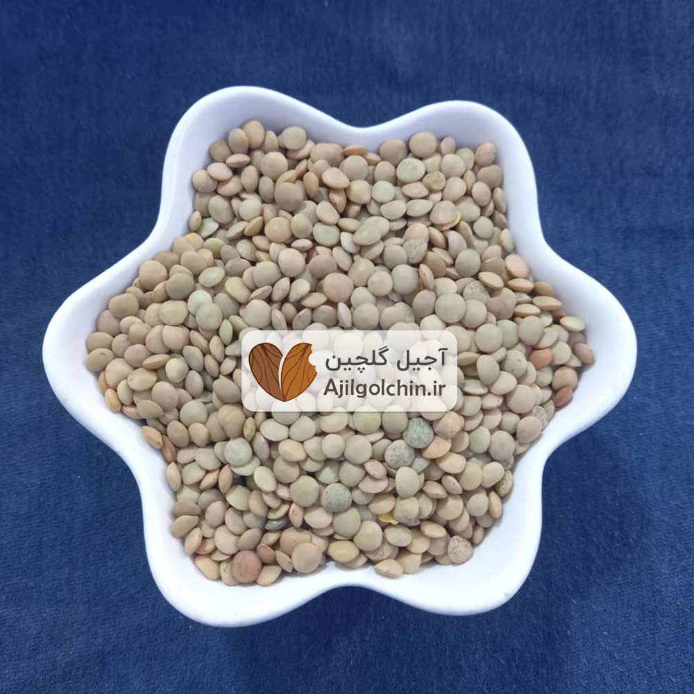 عدس درشت