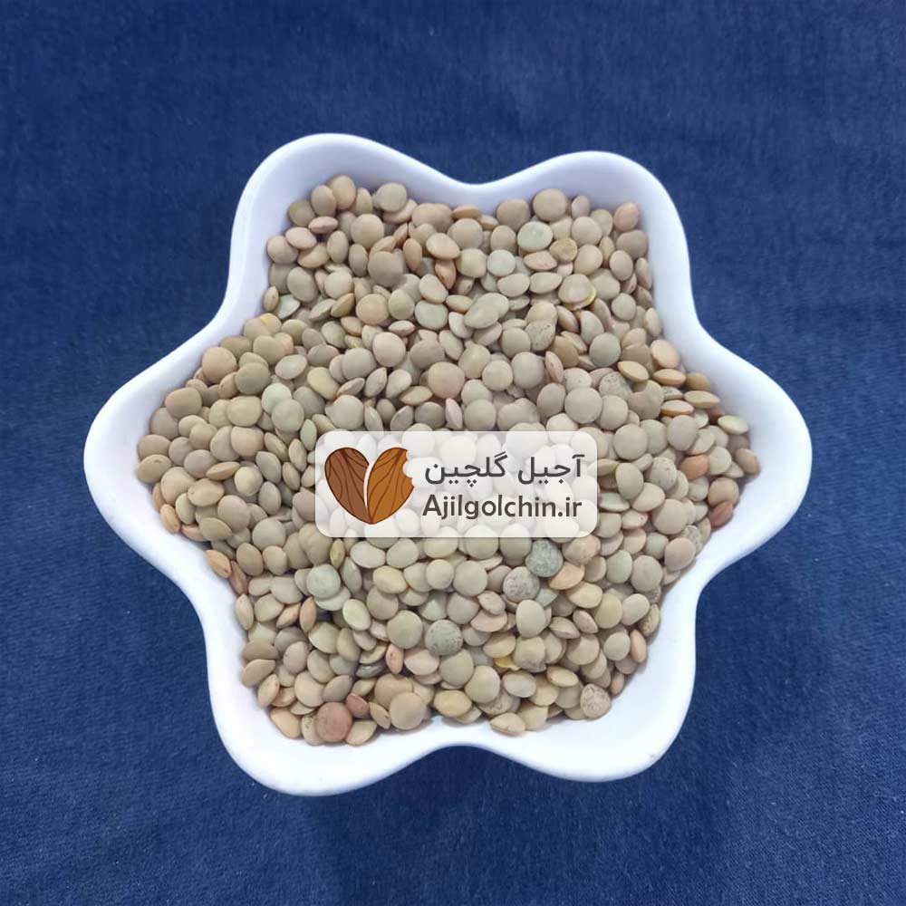 عدس ریز