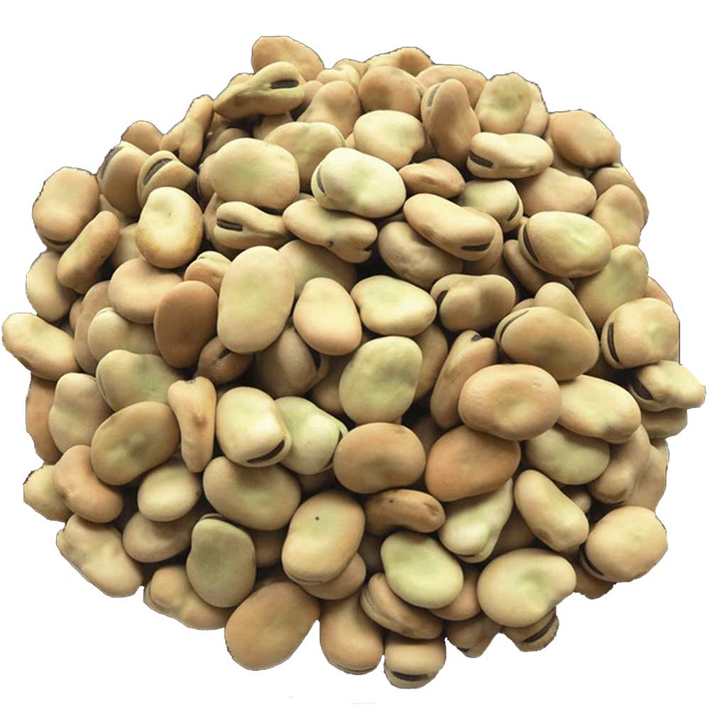 باقالی تازه