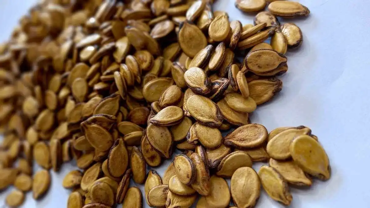 قیمت تخمه هندوانه دوآتیشه