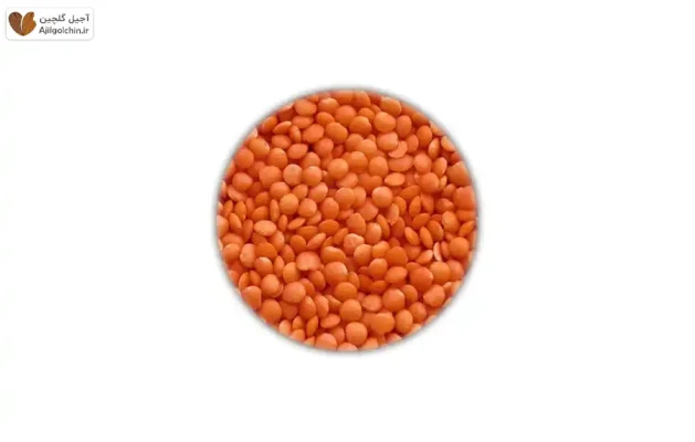 عدس کیلویی چند