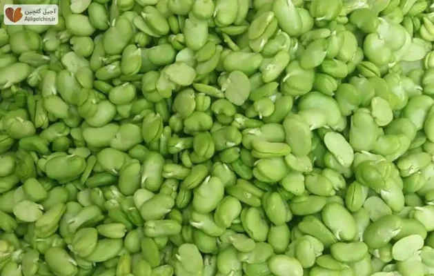 قیمت باقلا امروز