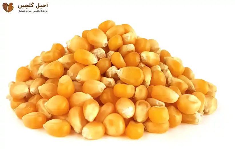 قیمت ذرت تازه