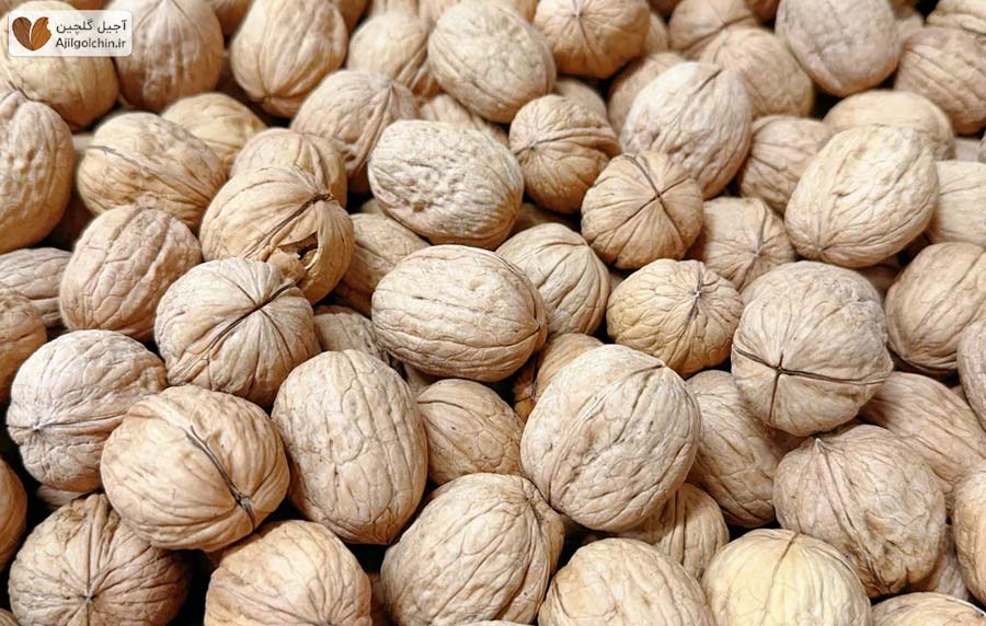 قیمت گردوی پوست کاغذی