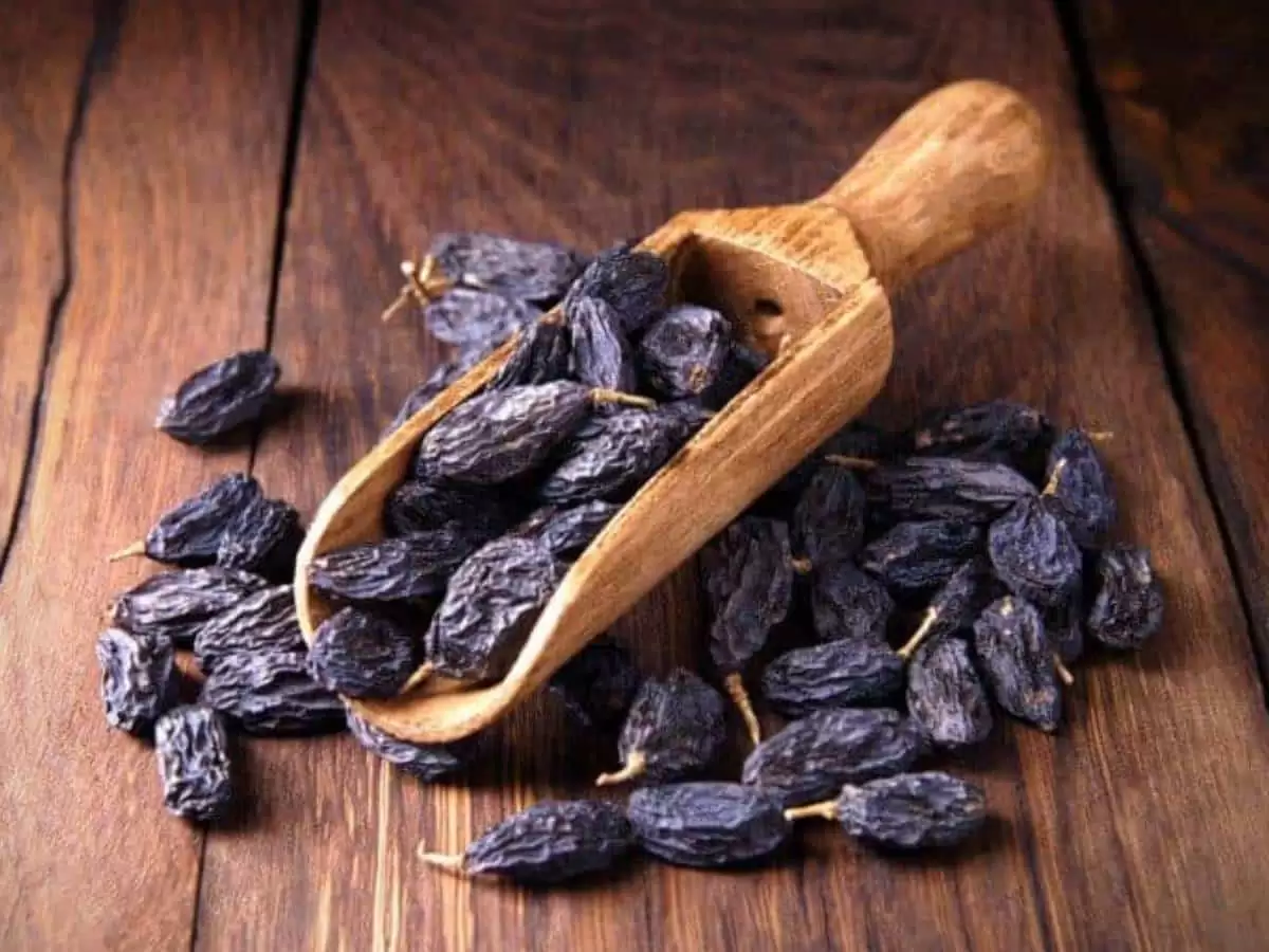 قیمت مویز سیاه