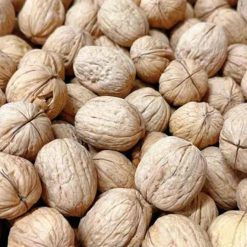 گردو پوست کاغذی