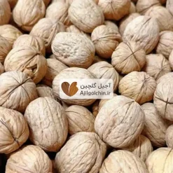 گردو پوست کاغذی