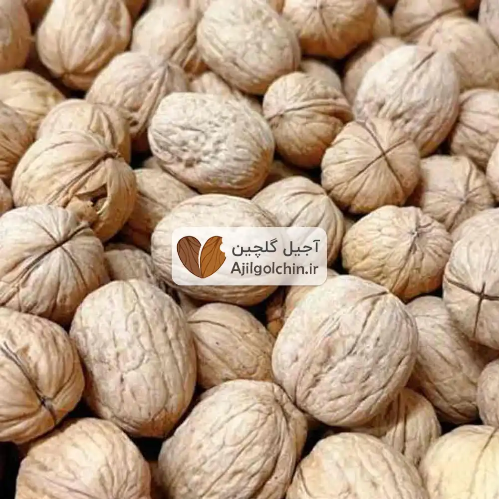 گردو پوست کاغذی