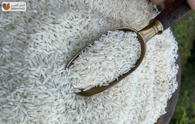 قیمت برنج کامفیروزی درجه یک