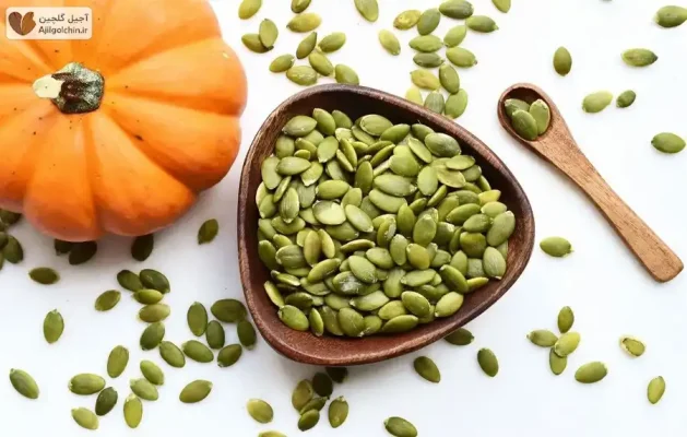 تخم کدو