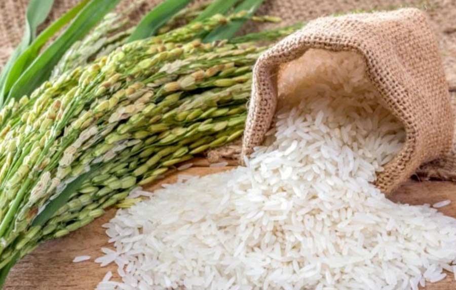 خرید برنج کیلویی