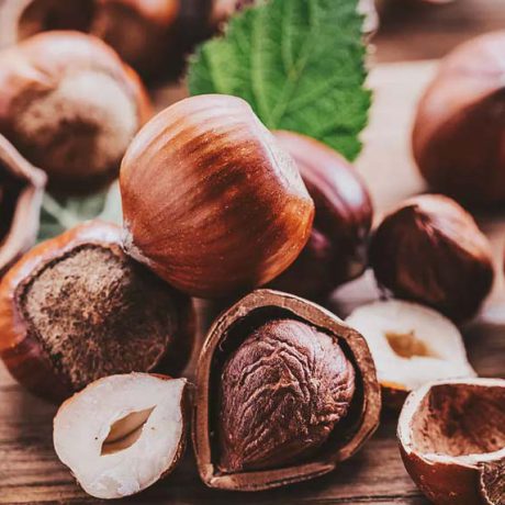 فندق برای کبد چرب