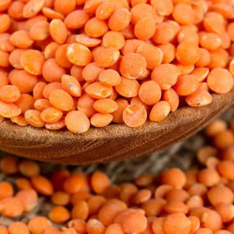 عدس برای کبد چرب مضر است