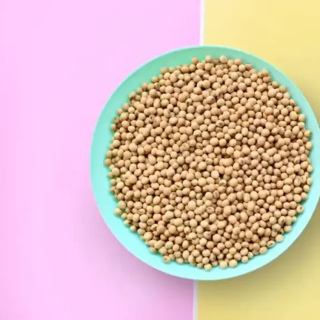 مضرات سویا آجیلی برای مردان