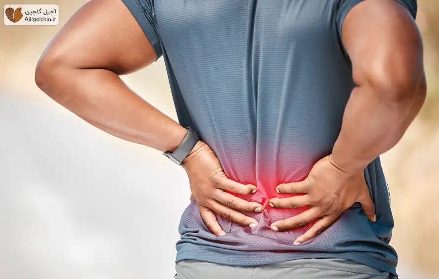 نخود و دیسک کمر