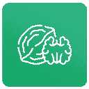 گردو تویسرکان