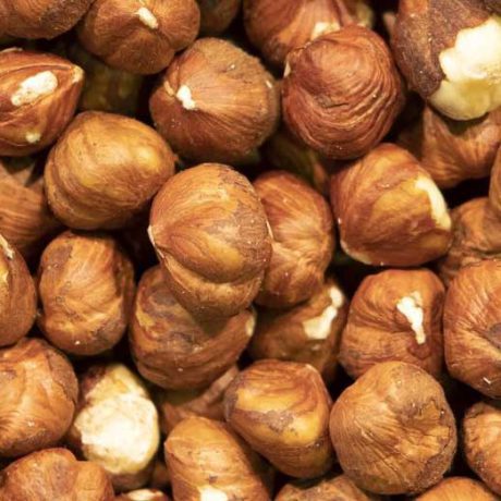 نحوه نگهداری فندق تازه