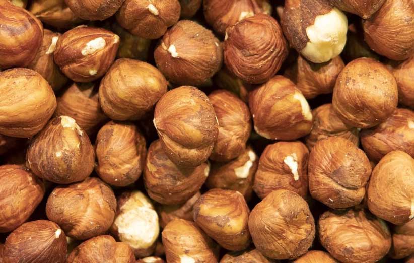 نحوه نگهداری فندق تازه