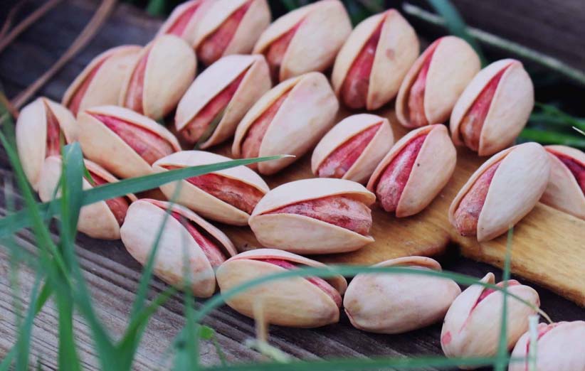 موارد مصرف پسته