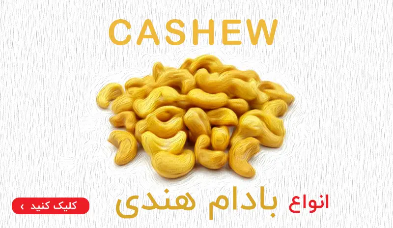 بادام هندی