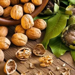 خوردن گردو در شب باعث چاقی میشود