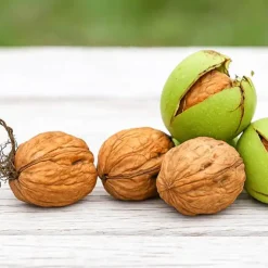 خواص گردو برای زنان